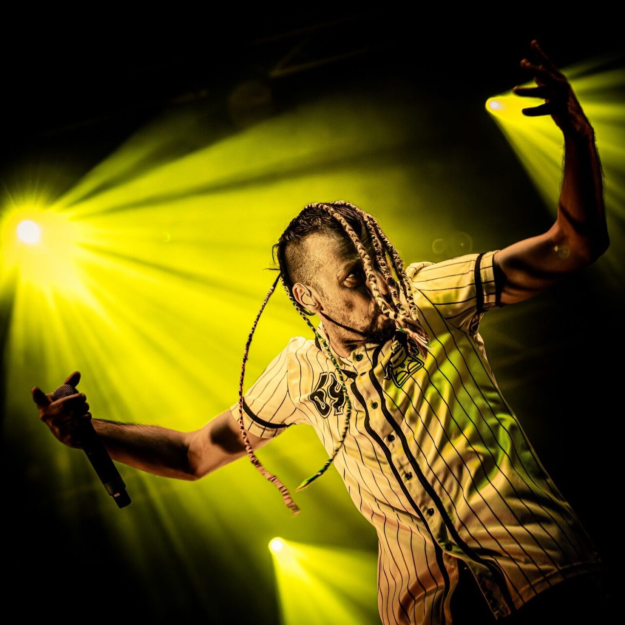 Fotohighlights von Frank Szafinski