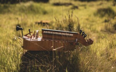 Tradition. Innovation. Dauerton.