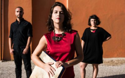 Im Zeichen der Libelle