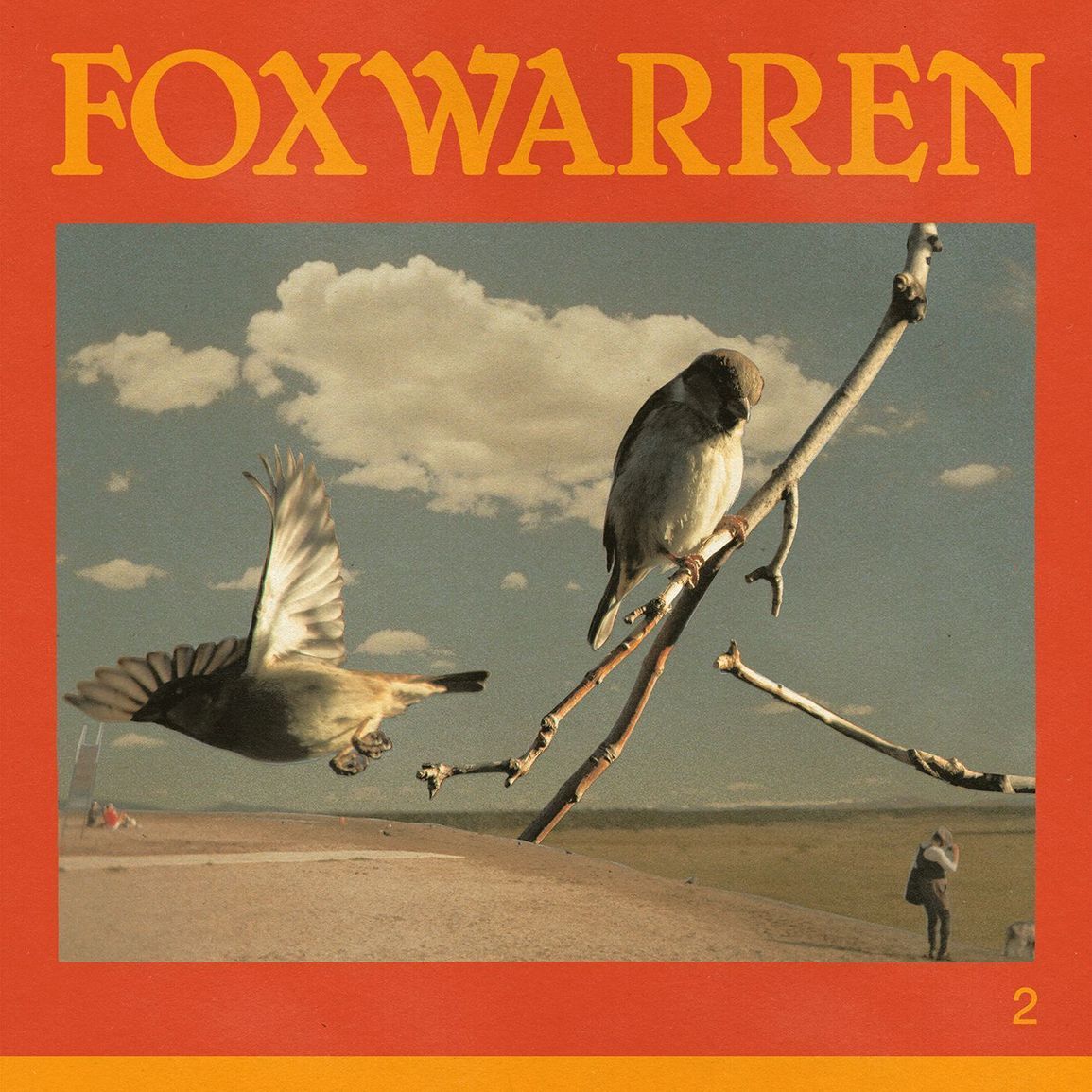 Cover_Foxwarren