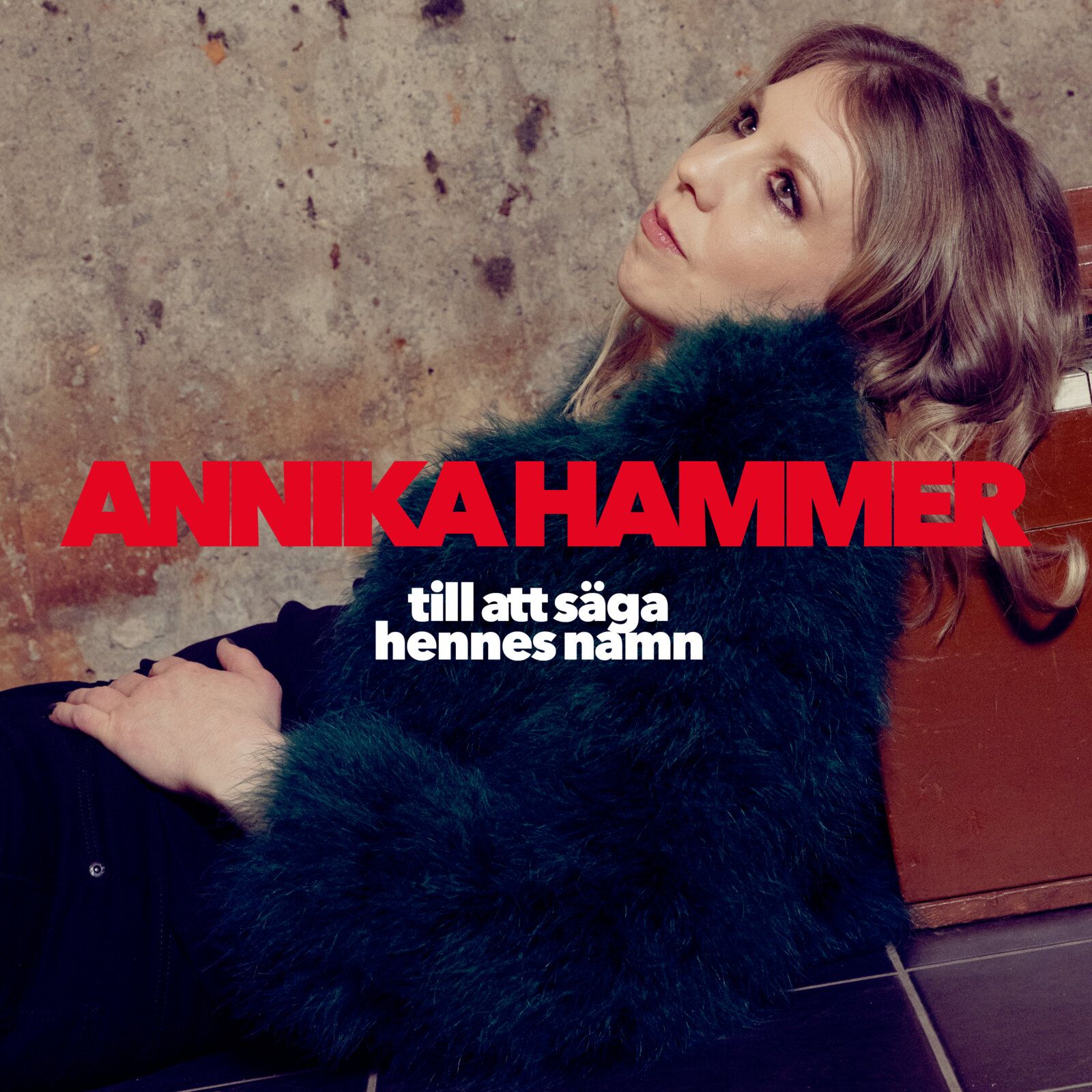 Cover_Hammer, Annika