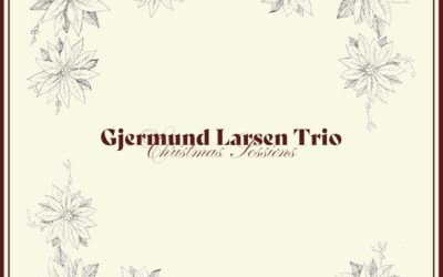 Gjermund Larsen Trio