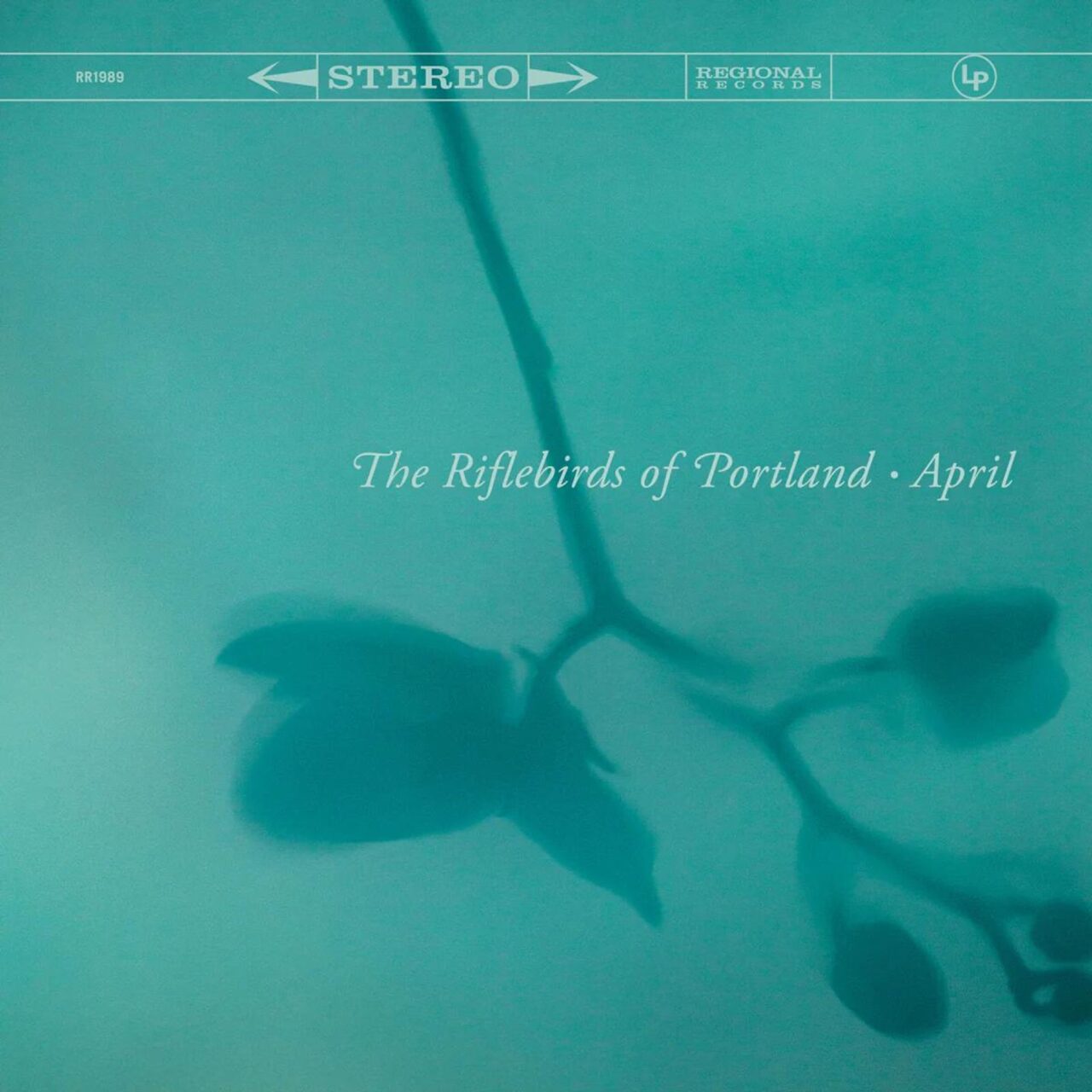 The Riflebirds Of Portland