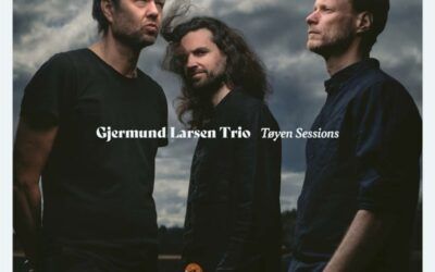 Gjermund Larsen Trio