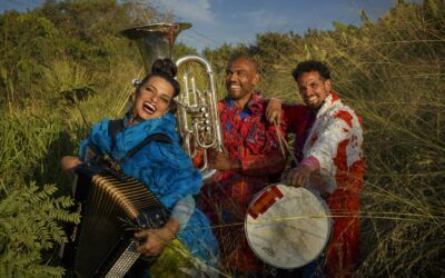 International und stilistisch vielseitig