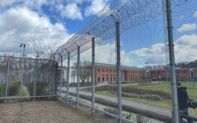 Plötzlich ist da eine Resonanz