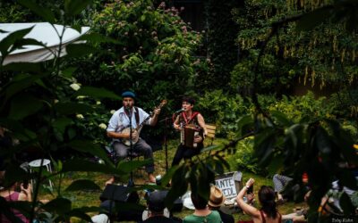 Was macht eine gute Liveperformance aus? – 1