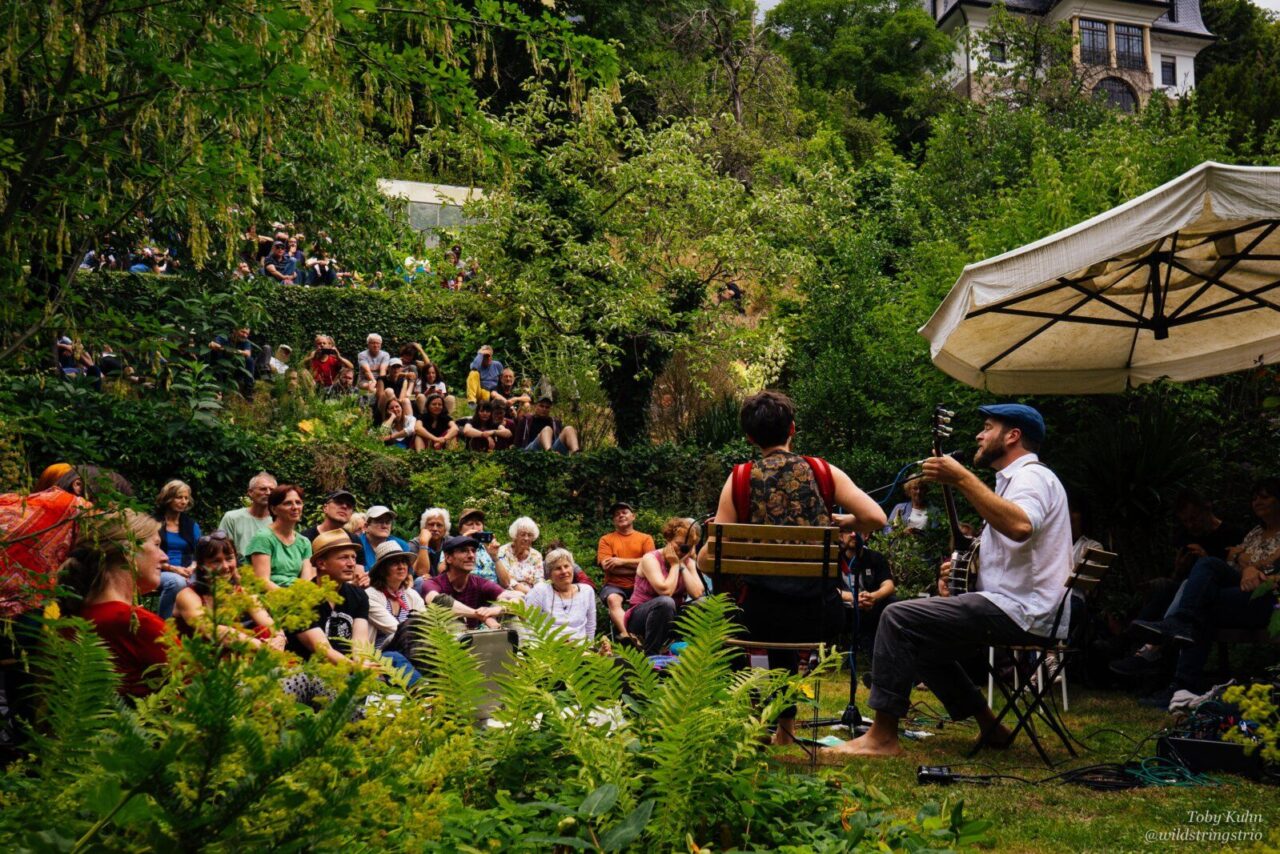 Was macht eine gute Liveperformance aus? – 2